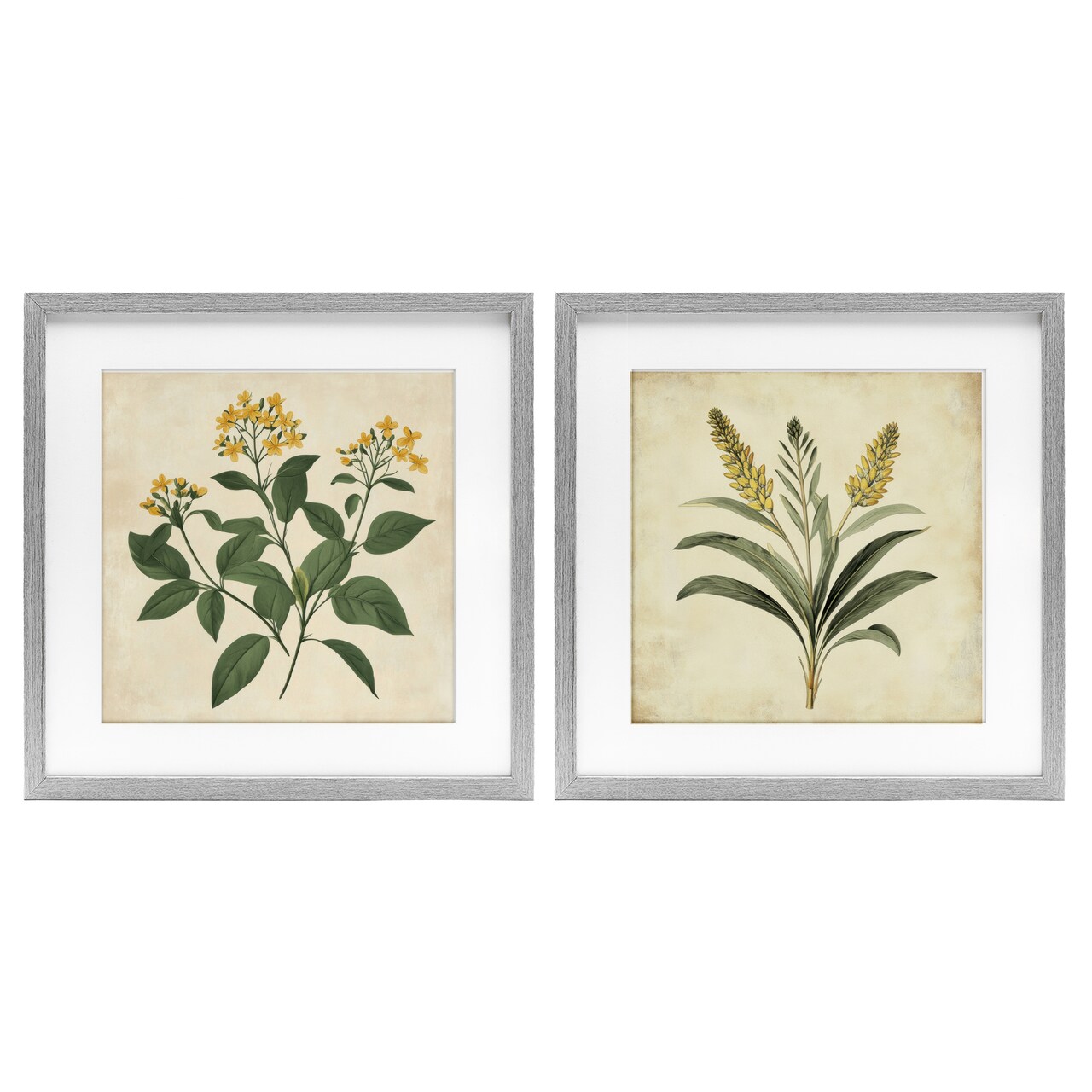 Stupell Industries Vintage Yellow Bushels and Wheat 2pc Framed Print Under Glass Set, design by Petal Prints Design